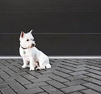 PERMEABLE PAVERS