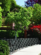 Garden Wall TriFace
